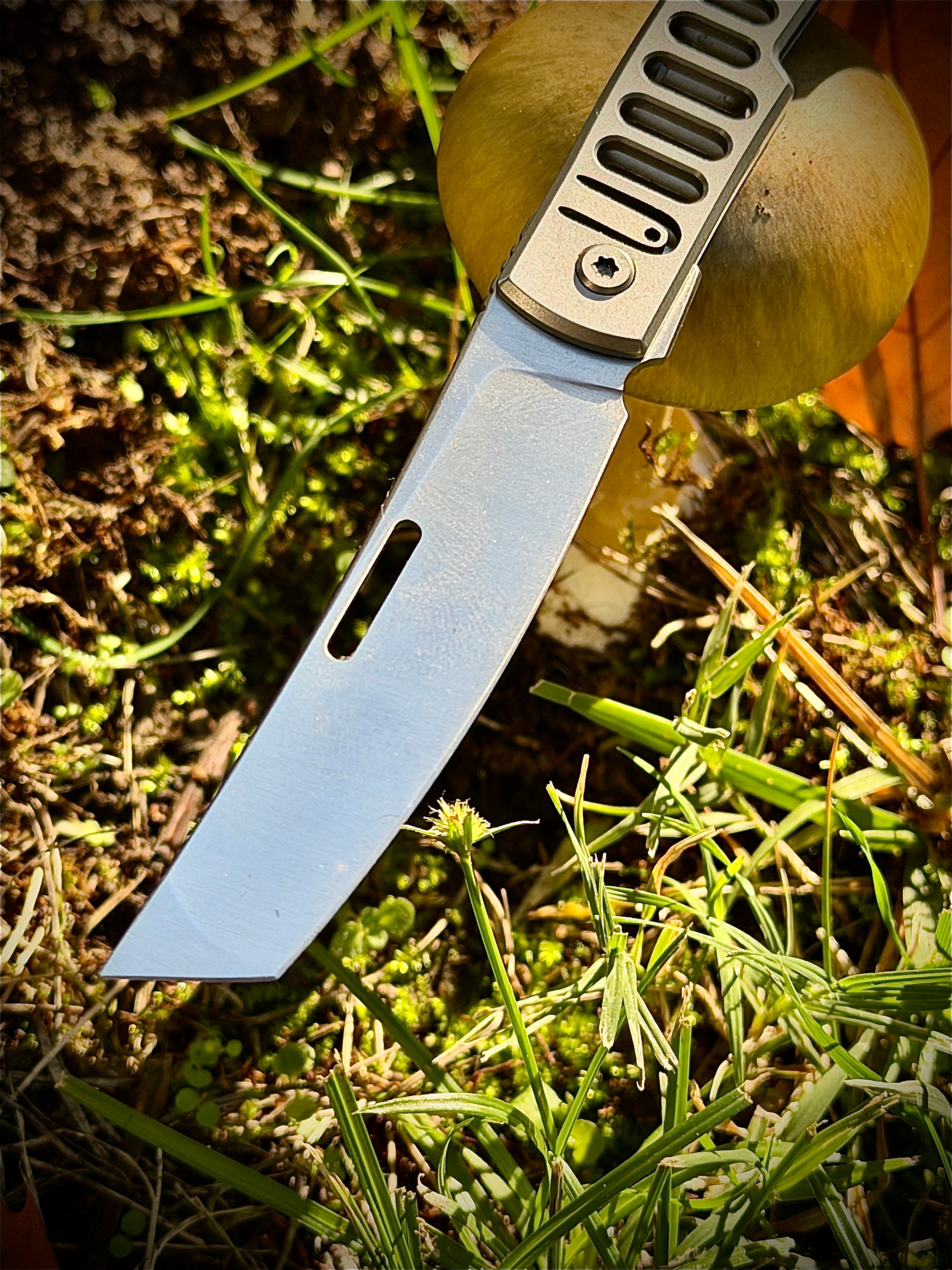 Nagiryu Double Detent Folder – Prototype Run (30 pcs)